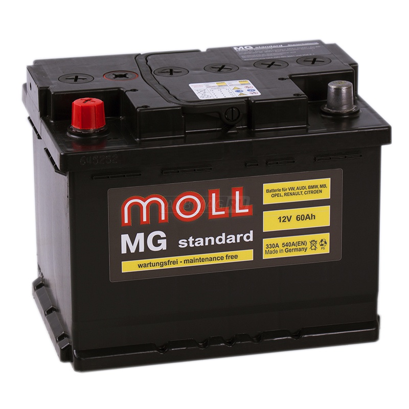 MOLL MG Standard 60L 550A 242x175x190