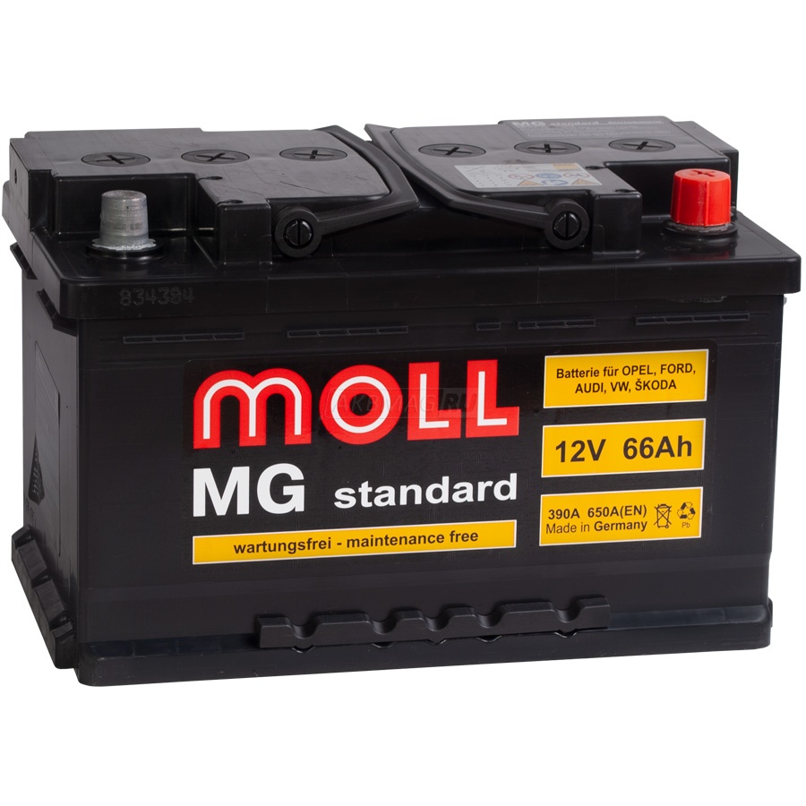 MOLL MG Standard 66R 650A 278x175x175