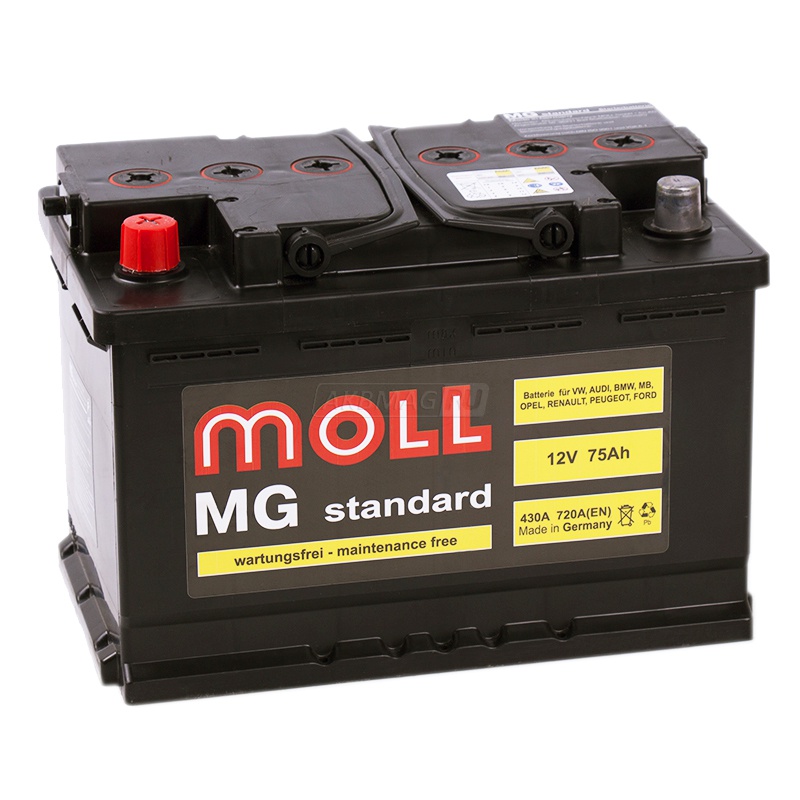 MOLL MG Standard 75L 720A 276x175x190