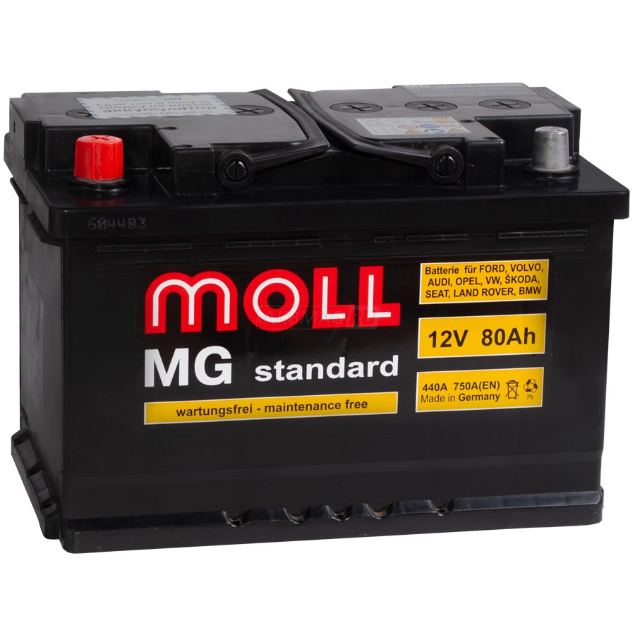 MOLL MG Standard 80L 750A 276x175x190
