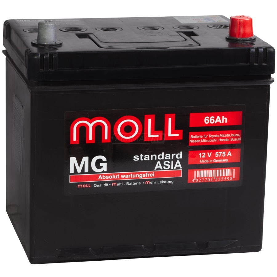MOLL MG Standard Asia 66R 575A 220x164x220