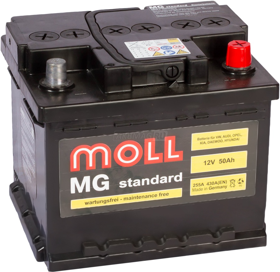 MOLL MG Standard 50R 430А 207х175х175