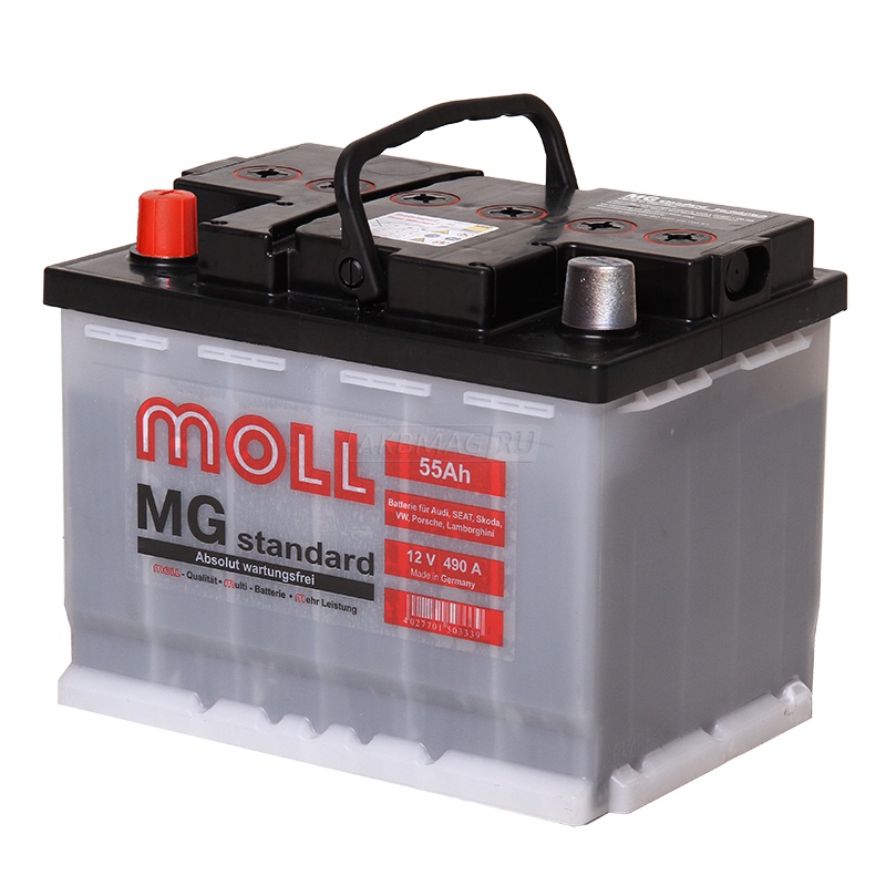 MOLL MG Standard 55L 490A 242x175x190