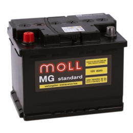 MOLL MG 60L 550А Прямая полярность 60 Ач (242x175x190)