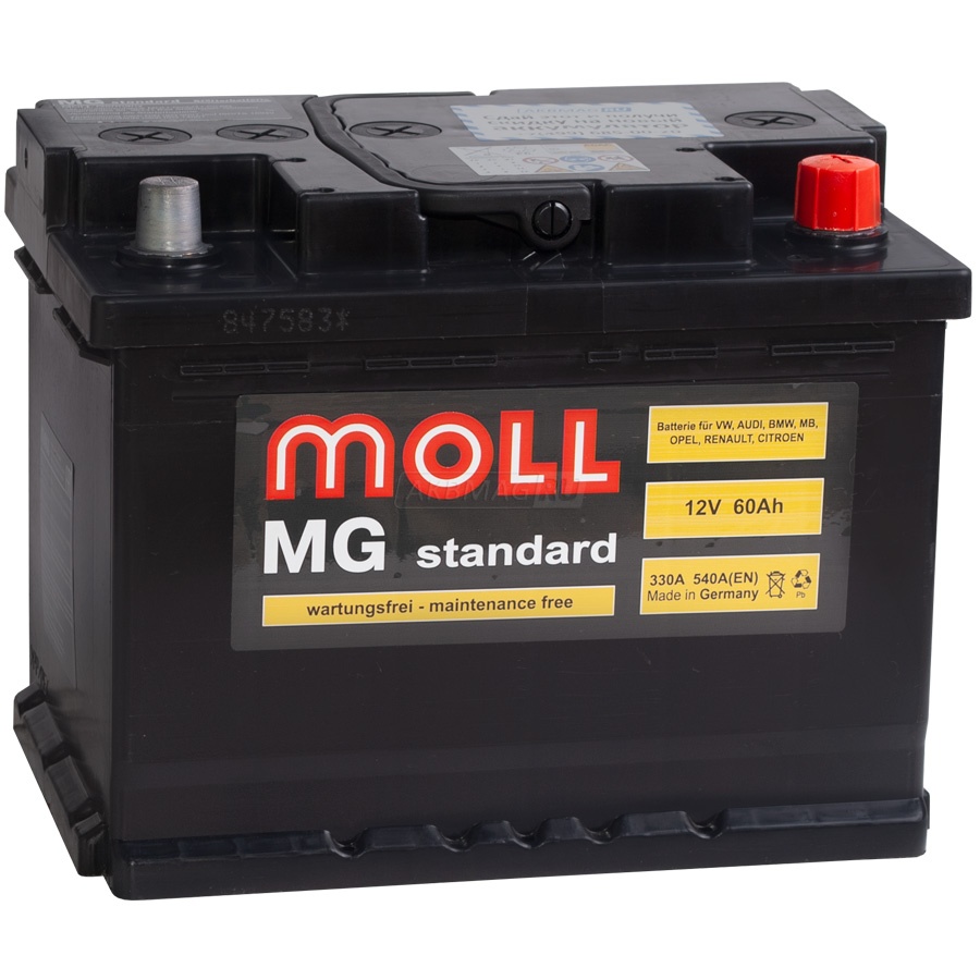 MOLL MG Standard 60R 550A 242x175x190
