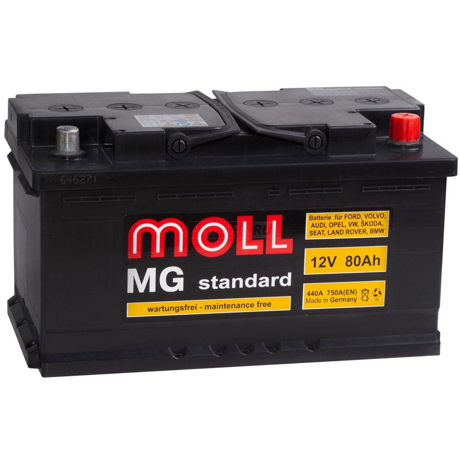 MOLL MG Standard 80R 750A 276x175x190