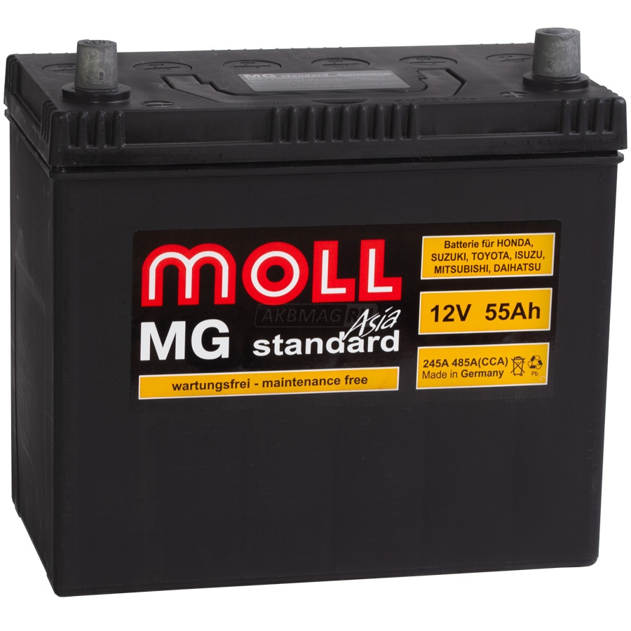 MOLL MG Standard Asia 55R 485A 229x120x220