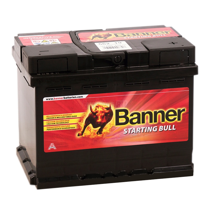 BANNER Starting Bull (562 19) 62R 510A 241x175x190