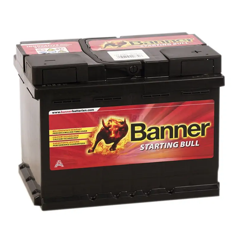 BANNER Starting Bull (560 09) 60R 480A 241x175x175