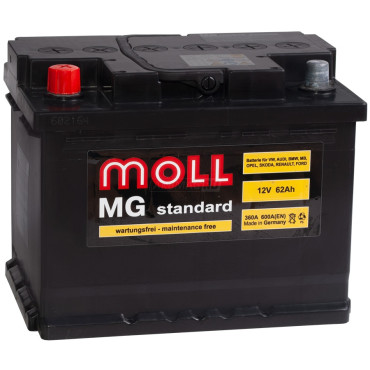 MOLL MG Standard 62L 600A 242x175x190