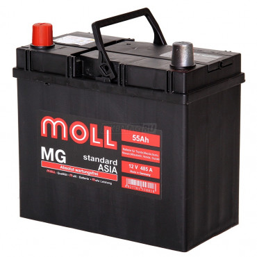 MOLL MG Standard Asia 55L 485A 229x120x220