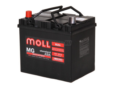 MOLL MG Standard Asia 66L 575A 220x164x220