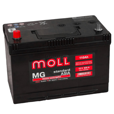 MOLL MG Standard Asia 110L 835A 292x170x215
