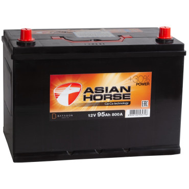 Asian Horse 95R 800A 306x173x225