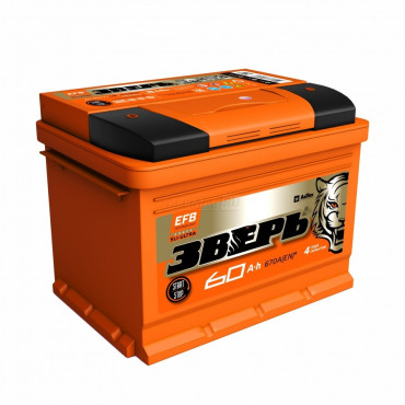 ЗВЕРЬ EFB 60L 640A 242x175x190