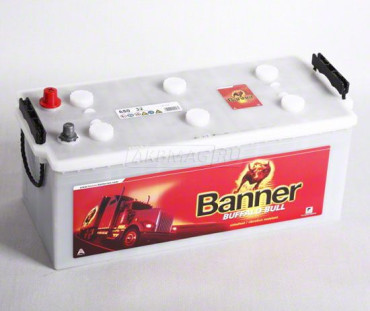 BANNER Buffalo Bull (680 32) 180euro 950A 514x223x220