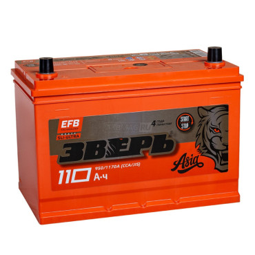 ЗВЕРЬ ASIA EFB 125D31L (110R 950A 306x173x223)