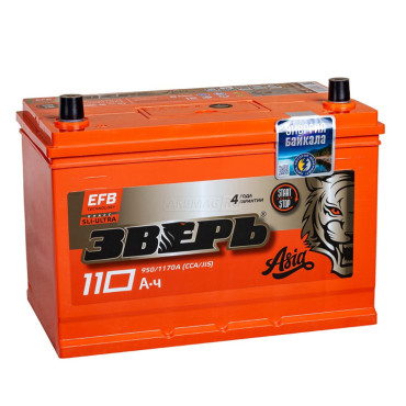 ЗВЕРЬ ASIA EFB 125D31R (110L 950A 306x173x223)