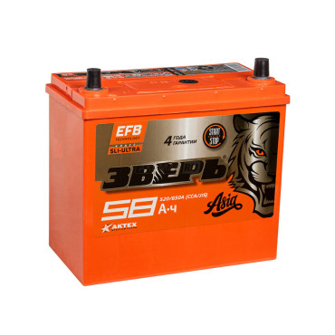 ЗВЕРЬ ASIA EFB 75B24R (58R 520A 238х129х227)