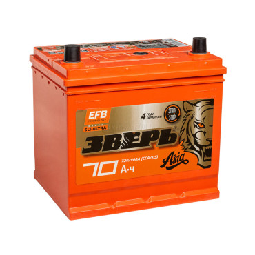 ЗВЕРЬ ASIA EFB 85D23R (70L 720A 235х175х221)